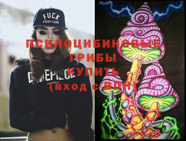 крисы Алапаевск