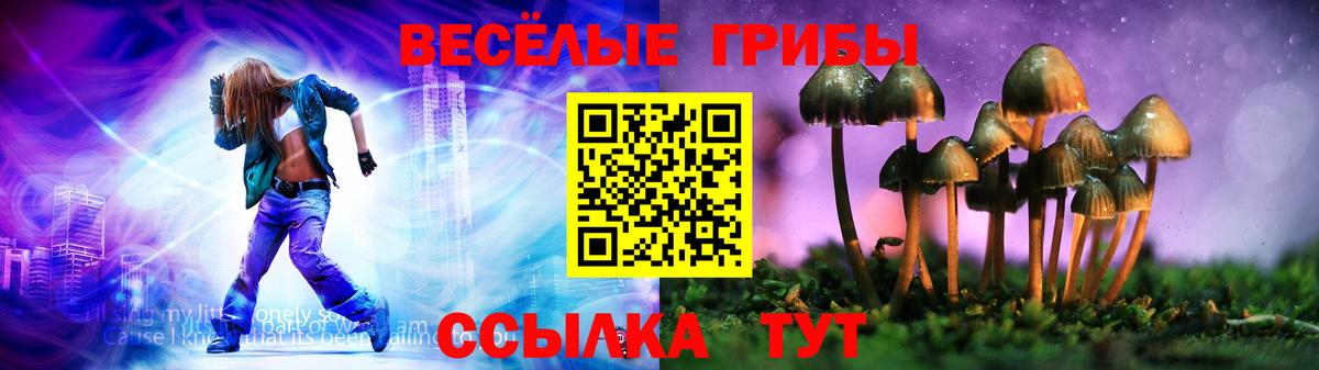 Ялта  Галлюциногенные грибы Psilocybe  Псилоцибиновые грибы мицелий  Вход с VPN 